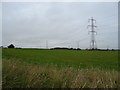 Grassland and power lines near Denend Croft in AB42 3AJ