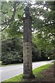 Stone column on Chelford Road in WA16 8QN