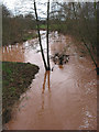 River Leadon after prolonged rain in HR8 2YG