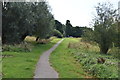 Footpath, Holmwood Common in RH4 2NH