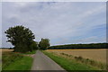 Wood Lane towards Northorpe Lodge in Thurlby
