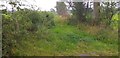 Overgrown track near Great Salkeld in CA11 9NA