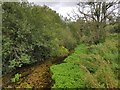 River Dever downstream near Upper Bullington, Hampshire in Bullington