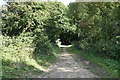 Footpath in Elder Wood in ME18 5PS