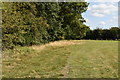 Footpath to Witherden Farm in TN27 9LE