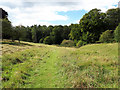Monarch's Way entering Westonbirt Arboretum in GL8 8UR