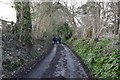 Lane near Empshott Green in GU33 6HU