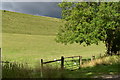 Dark clouds over strip lynchets, Church Bottom in SP5 5HD
