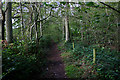 Footpath alongside Early Bridge Copse, south of Silchester in RG26 5EN