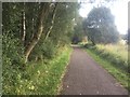 West Fife Cycleway in FK10 3QF