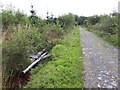 Track in the Lennox Forest in G66 7NP