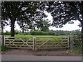 Twin field gates south of Llanarth, Monmouthshire in NP15 2BQ
