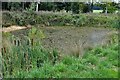 Ampton: Village pond in Ampton