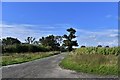 Sapiston: Track leading to Heath Cottages in IP31 1RY
