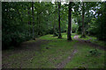 Footpath alongside Gravelpit Copse, south of Silchester in RG26 5EN