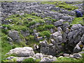 Limestone Pavement in IV27 4PU