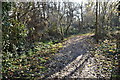 The LOOP near Baber Bridge in TW4 5DL
