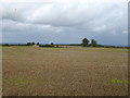 Stubble field off Green Lane in DL8 2SJ