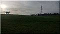 Cow and Pylons near Milrig,  Kirknewton in EH53 0RJ
