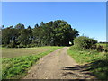 Farm track near Little Massingham in Massingham with Castle Acre Ward
