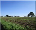 Harrowed field off Mad Dog Lane in PE32 2JP