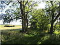 Footpath to Clarke's Farm in PE31 6DY