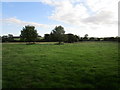 Grass field near Abbey Farm in PE31 6BT