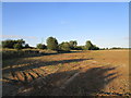 Prepared field alongside the A148 in PE31 6DB