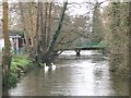 Bridge with river Test and swans in SO51 8XL
