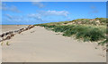 Sand Dunes below Northern Promenade in FY8 2TX