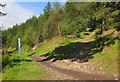 Path and bike trail, Glentress in EH45 8NA