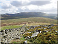 Stretching across the moors in Kirknewton