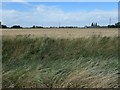 Fenland field, west side of Fox Headings in Whaplode and Holbeach St. John's Ward