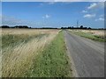 Fox Headings, looking north in Whaplode and Holbeach St. John's Ward