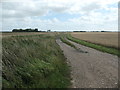 Track heading east off Fox Headings in Whaplode and Holbeach St. John's Ward