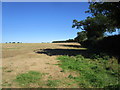 Stubble field and hedge in PE32 1DN