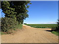 Crossing of farm tracks in PE32 1DN