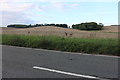 Field by Bedford Road, Shefford in SG17 5DR