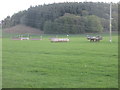 Cross-country jumps at Auchlishie in DD8 4LR