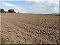 Ploughed field, Southcott in EX39 4LJ