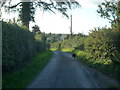 Dog running in Tunnel Lane (Orleton) in SY8 4HZ