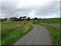 Bend in the road towards Auquharney in AB42 0QT