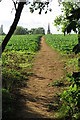 Footpath towards the church in OX17 3PS