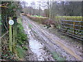 Farm Track near Nether Compton in DT9 4PZ