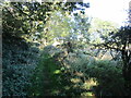 Footpath from Clarke's Farm in PE31 6DY