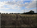 Stubble field, Congham in PE32 1DS