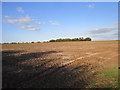 Prepared field near Roydon in PE32 1AR