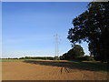 Prepared field and electricity pylon in PE32 2HH