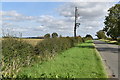 Grassy verge, Gorse Lane in Grantham Springfield Ward