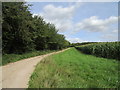 Farm track to Stowborough Heath in PE32 1UL